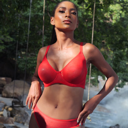 Julie Sheer Mesh Underwire Bra - Lobster Red - 34D & 38DD left